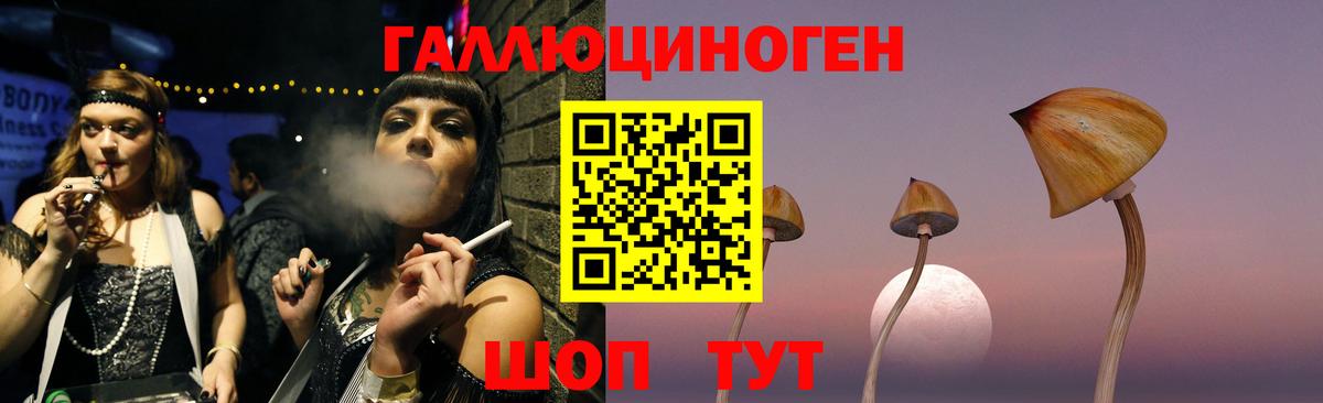 Псилоцибиновые грибы мухоморы Губкинский